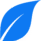 R.D.O. Program